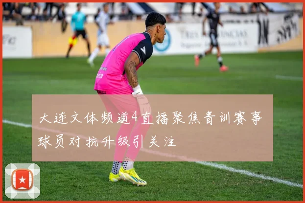 大连文体频道4直播聚焦青训赛事 球员对抗升级引关注