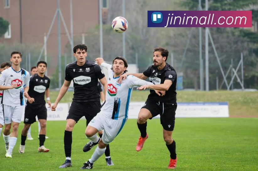 数据防护可视化